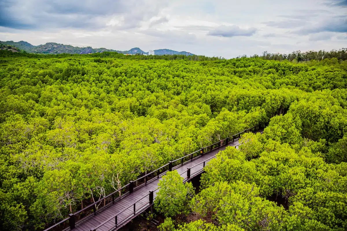 วนอุทยานปราณบุรี